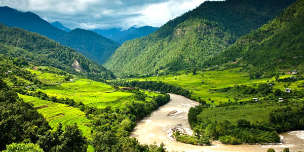 greenery in Bhutan