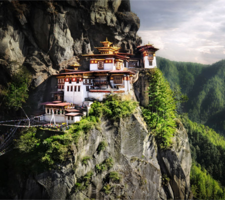 Tigers nest in Bhutan